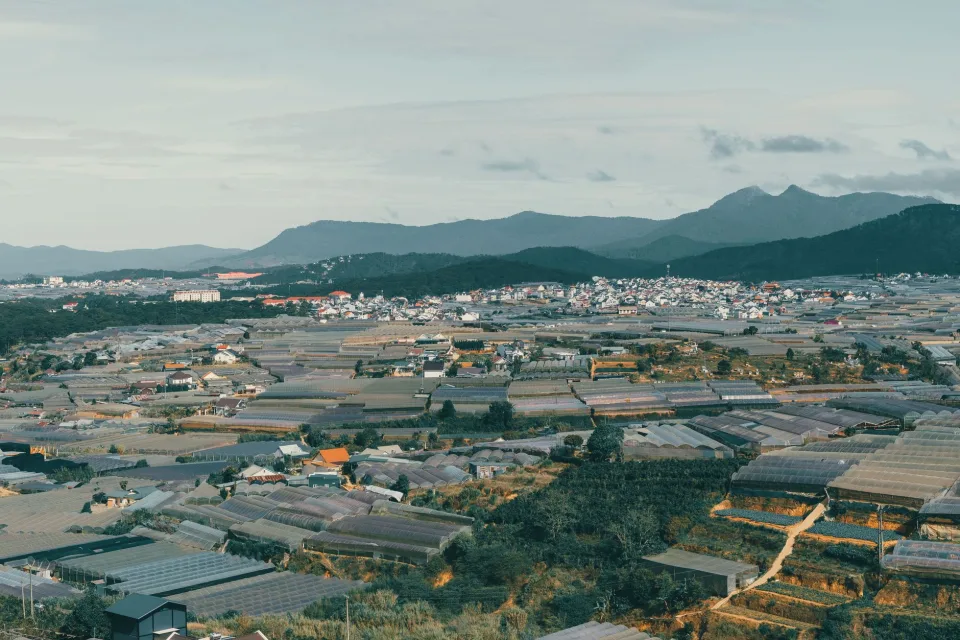 Góc hiên nhà tại Trần Thị Kim Tuyến 1974